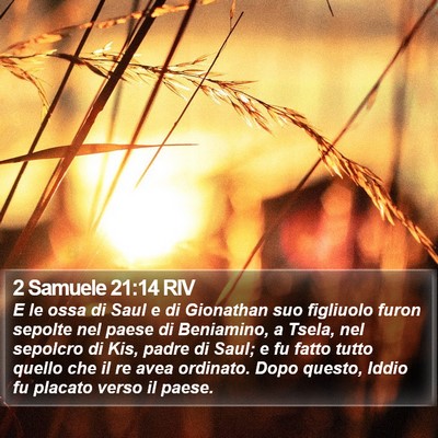 2 Samuele 21:14 RIV Bible Verse Image