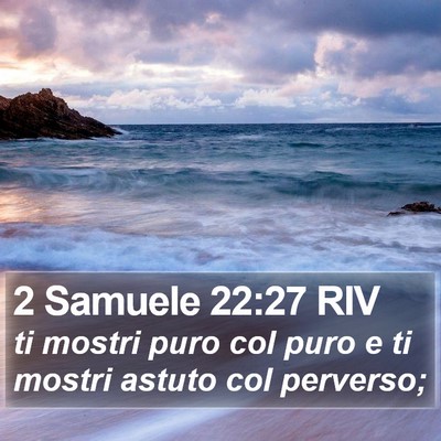 2 Samuele 22:27 RIV Bible Verse Image