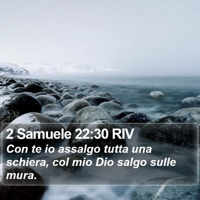 2 Samuele 22:30 RIV Bible Verse Image