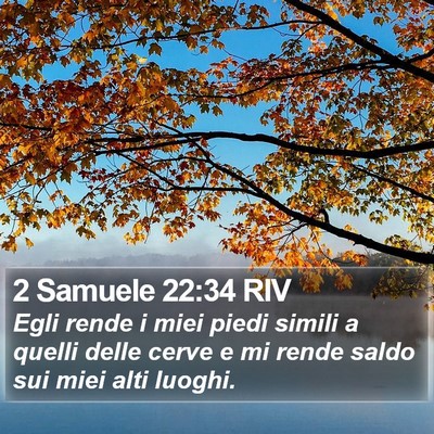 2 Samuele 22:34 RIV Bible Verse Image