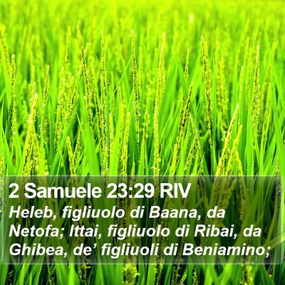 2 Samuele 23:29 RIV Bible Verse Image