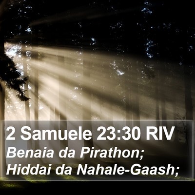 2 Samuele 23:30 RIV Bible Verse Image