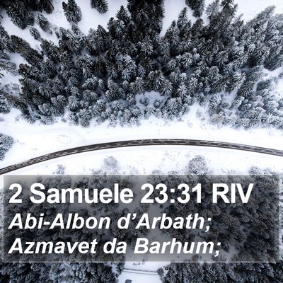 2 Samuele 23:31 RIV Bible Verse Image
