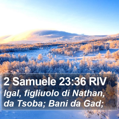 2 Samuele 23:36 RIV Bible Verse Image