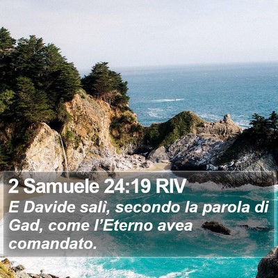 2 Samuele 24:19 RIV Bible Verse Image