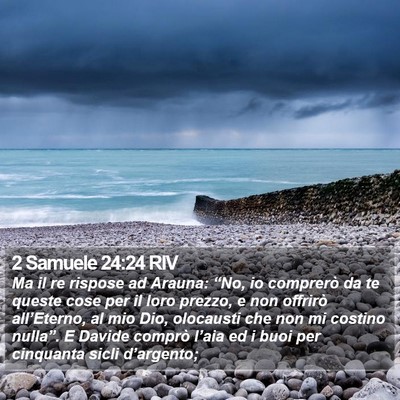 2 Samuele 24:24 RIV Bible Verse Image