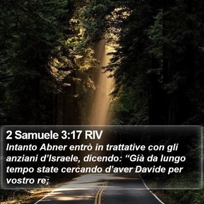 2 Samuele 3:17 RIV Bible Verse Image