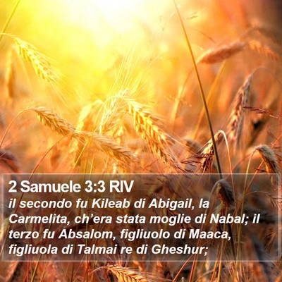 2 Samuele 3:3 RIV Bible Verse Image