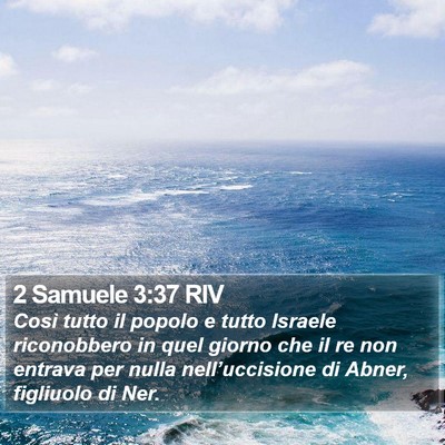 2 Samuele 3:37 RIV Bible Verse Image