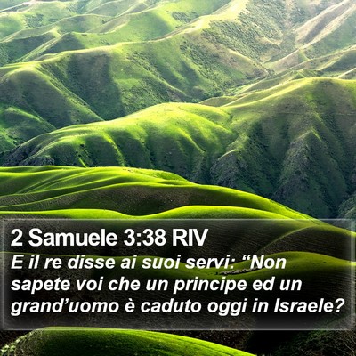 2 Samuele 3:38 RIV Bible Verse Image