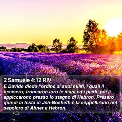 2 Samuele 4:12 RIV Bible Verse Image