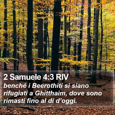 2 Samuele 4:3 RIV Bible Verse Image