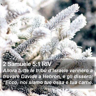 2 Samuele 5:1 RIV Bible Verse Image