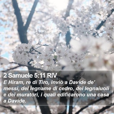 2 Samuele 5:11 RIV Bible Verse Image