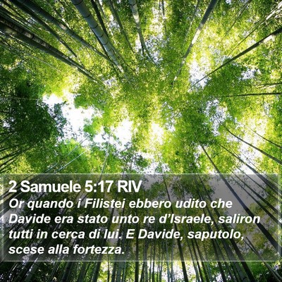 2 Samuele 5:17 RIV Bible Verse Image