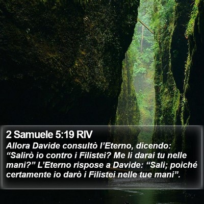 2 Samuele 5:19 RIV Bible Verse Image