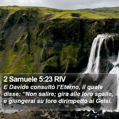 2 Samuele 5:23 RIV Bible Verse Image
