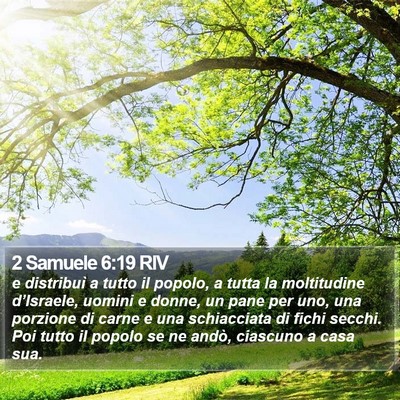 2 Samuele 6:19 RIV Bible Verse Image