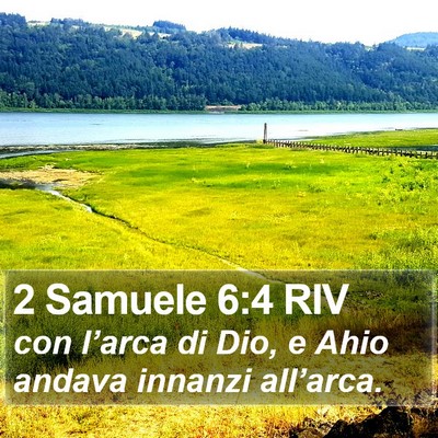 2 Samuele 6:4 RIV Bible Verse Image