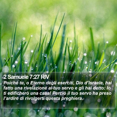 2 Samuele 7:27 RIV Bible Verse Image