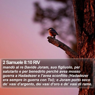 2 Samuele 8:10 RIV Bible Verse Image