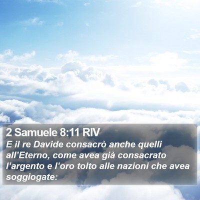 2 Samuele 8:11 RIV Bible Verse Image