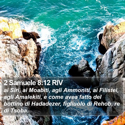 2 Samuele 8:12 RIV Bible Verse Image