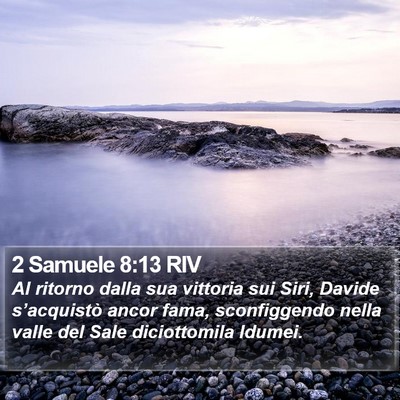 2 Samuele 8:13 RIV Bible Verse Image