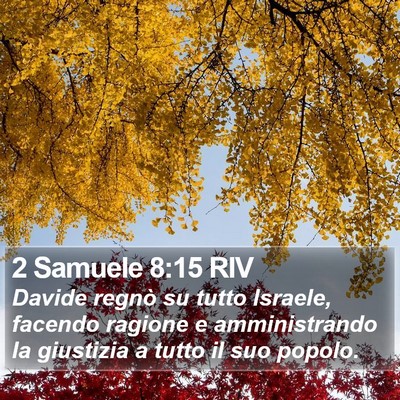 2 Samuele 8:15 RIV Bible Verse Image