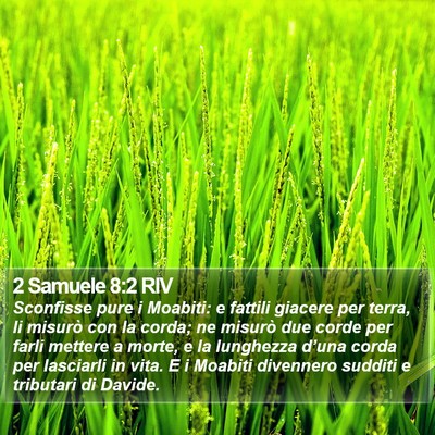2 Samuele 8:2 RIV Bible Verse Image