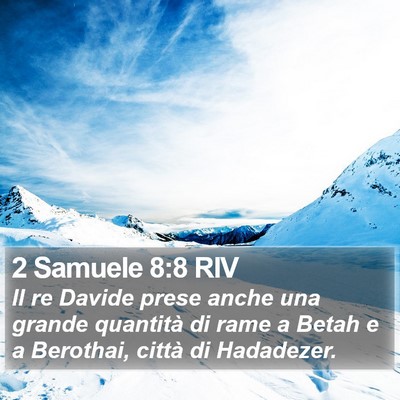 2 Samuele 8:8 RIV Bible Verse Image