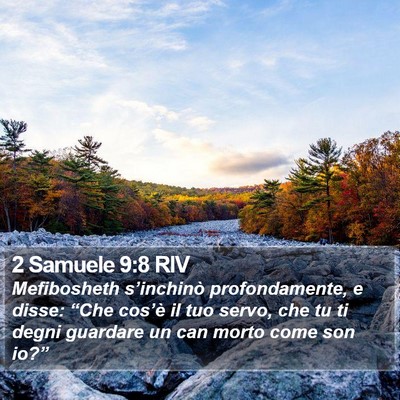 2 Samuele 9:8 RIV Bible Verse Image