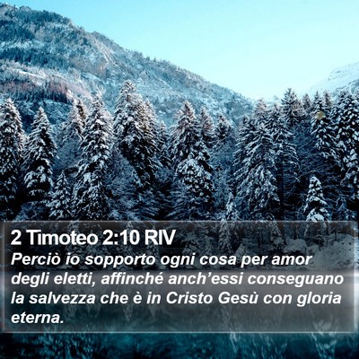 2 Timoteo 2:10 RIV Bible Verse Image