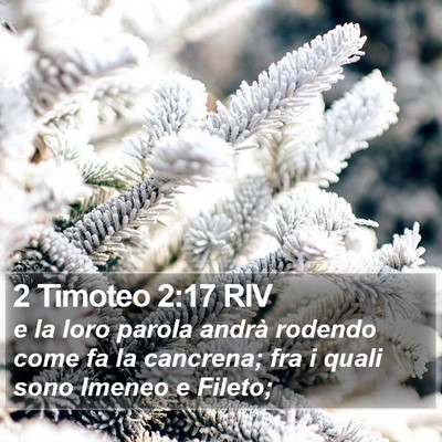 2 Timoteo 2:17 RIV Bible Verse Image
