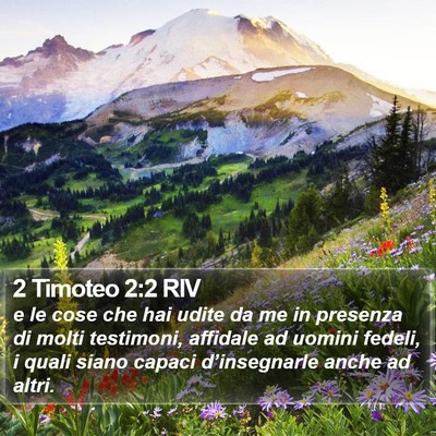 2 Timoteo 2:2 RIV Bible Verse Image