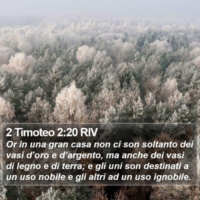 2 Timoteo 2:20 RIV Bible Verse Image