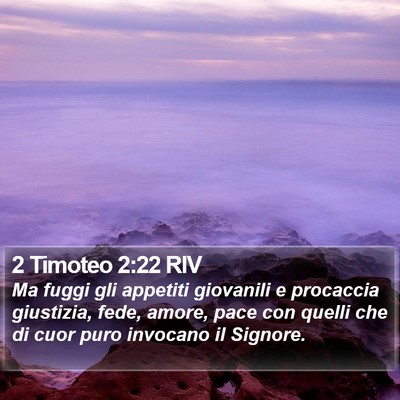 2 Timoteo 2:22 RIV Bible Verse Image