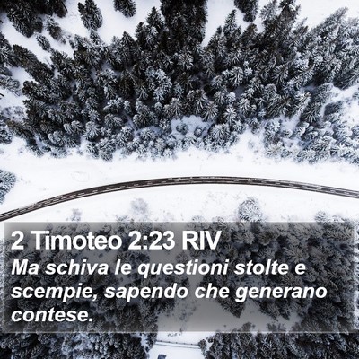 2 Timoteo 2:23 RIV Bible Verse Image