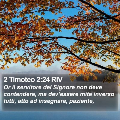 2 Timoteo 2:24 RIV Bible Verse Image