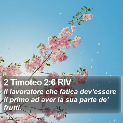 2 Timoteo 2:6 RIV Bible Verse Image