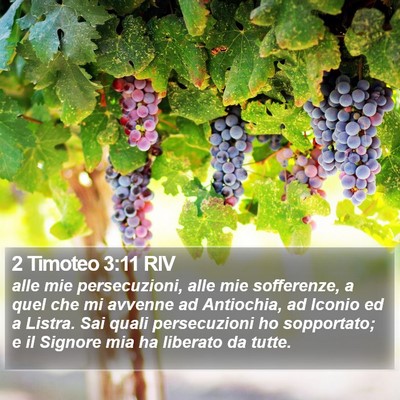2 Timoteo 3:11 RIV Bible Verse Image