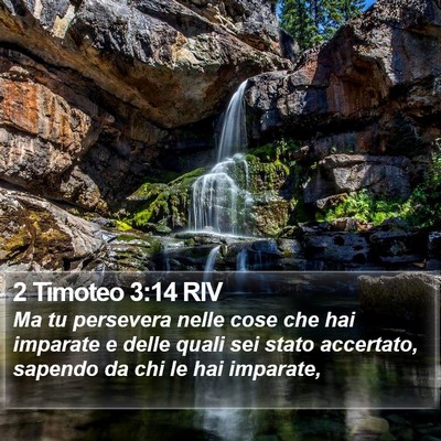 2 Timoteo 3:14 RIV Bible Verse Image