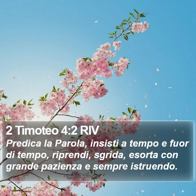 2 Timoteo 4:2 RIV Bible Verse Image