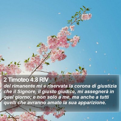 2 Timoteo 4:8 RIV Bible Verse Image