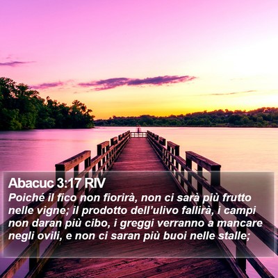 Abacuc 3:17 RIV Bible Verse Image