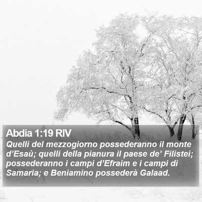 Abdia 1:19 RIV Bible Verse Image