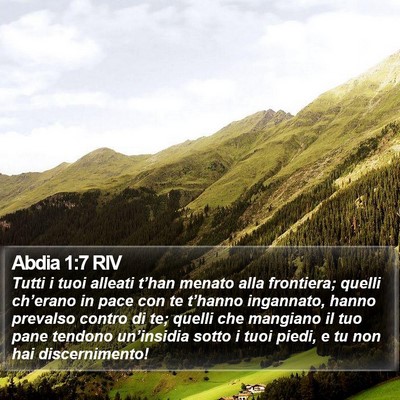 Abdia 1:7 RIV Bible Verse Image