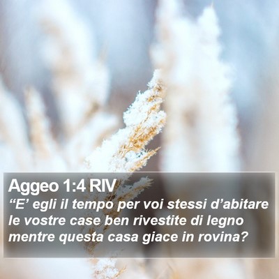 Aggeo 1:4 RIV Bible Verse Image
