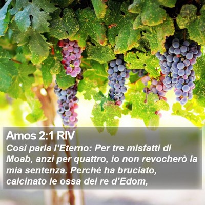 Amos 2:1 RIV Bible Verse Image