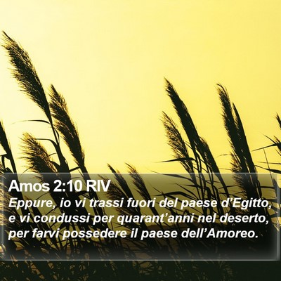 Amos 2:10 RIV Bible Verse Image